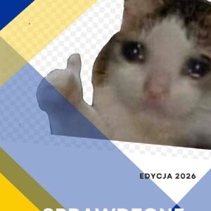 Sprawodzone wypracowanie - dostęp